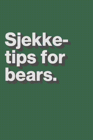 Sjekketips_for_bears-320x480